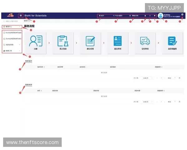 尊龙网站首页详细导航指南，帮助用户快速找到所需信息与服务入口