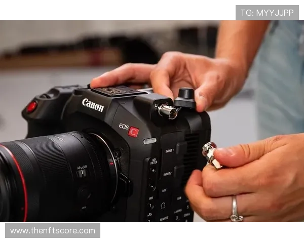 Z6尊龙真人国际平台的信誉保障与客户服务体系详解，助你无忧畅玩每一场真人游戏