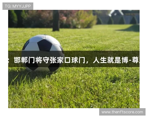 凯时尊龙人生就是搏：如何在激烈竞争中把握机遇实现人生价值的实用策略